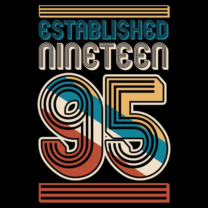 Retro Established Nineteen 95 1995 30th Birthday Womens T-Shirt