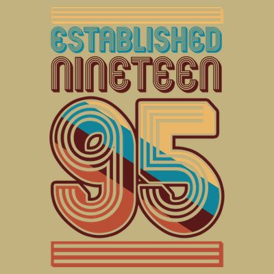 Retro Established Nineteen 95 1995 30th Birthday T-Shirt