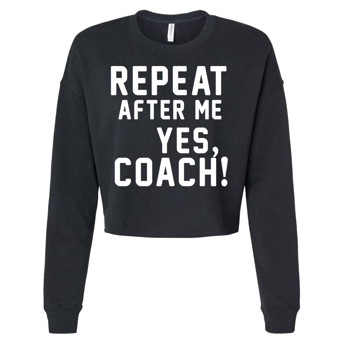 Repeat after me, YES COACH Cropped Pullover Crew