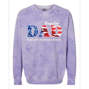 Republican Dad Just A Regular Dad Trying To Not Raise Liberals Colorblast Crewneck Sweatshirt