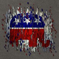 Republican Digital Flag Cotton Canvas Backpack