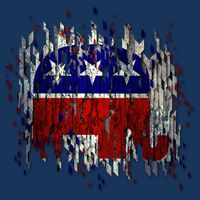 Republican Digital Flag Toddler T-Shirt