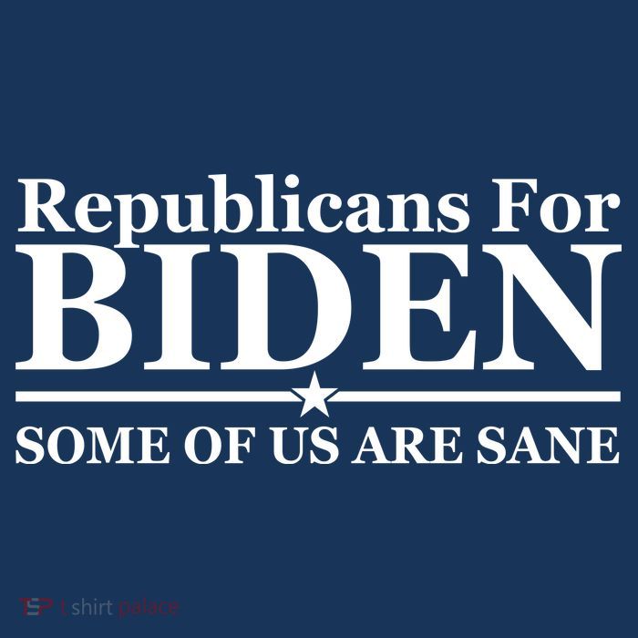 Republicans For Biden Some Of Us Are Sane 16 in Basic Backpack