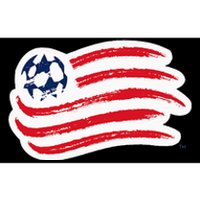 Revolutionnew England Bumper Sticker