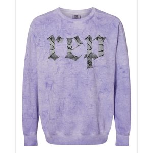 Rep Expression Colorblast Crewneck Sweatshirt