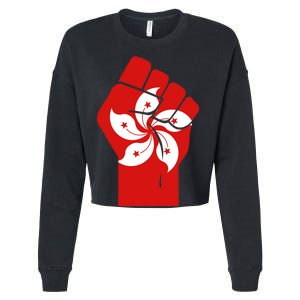 Resist Fist Hong Kong Flag Cropped Pullover Crew