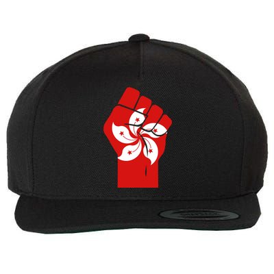 Resist Fist Hong Kong Flag Wool Snapback Cap