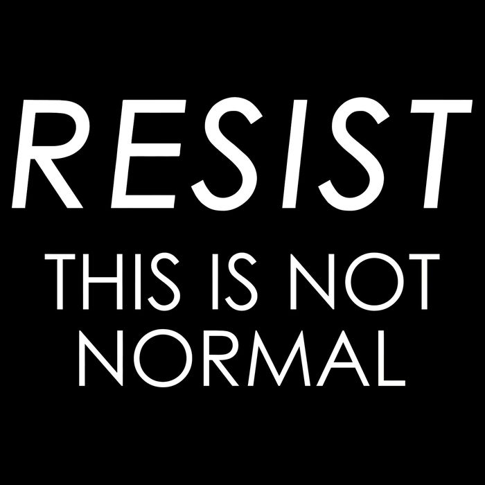 Resist This is Not Normal Anti Trump Yupoong Adult 5-Panel Trucker Hat