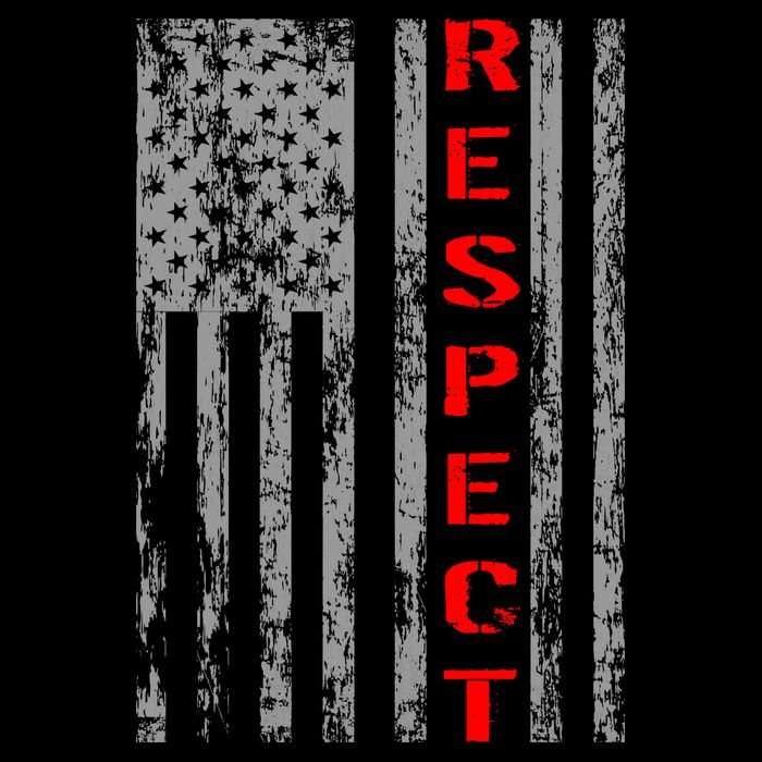 Respect Flag Of America Poster