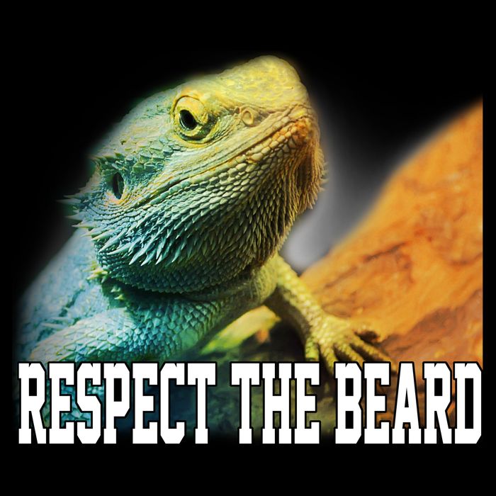 Respect The Beard Funny Bearded Dragon Button