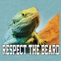 Respect The Beard Funny Bearded Dragon Sueded Cloud Jersey T-Shirt