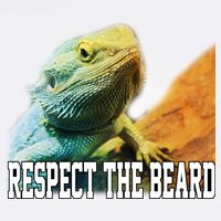 Respect The Beard Funny Bearded Dragon Garment-Dyed Sweatshirt