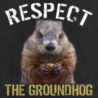 Respect The Groundhog 7 Panel Mesh Trucker Snapback Hat
