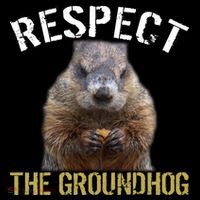 Respect The Groundhog Button