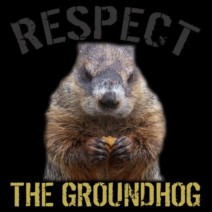 Respect The Groundhog Mug