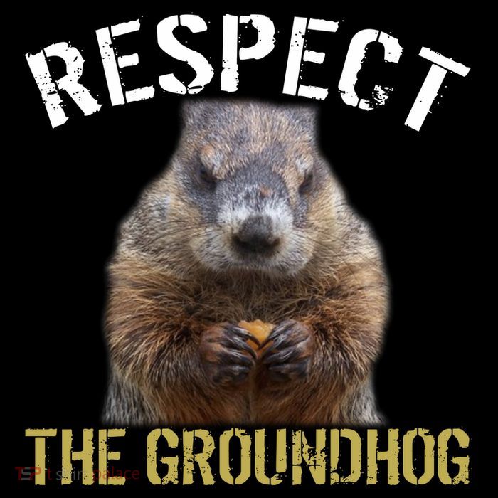 Respect The Groundhog Magnet