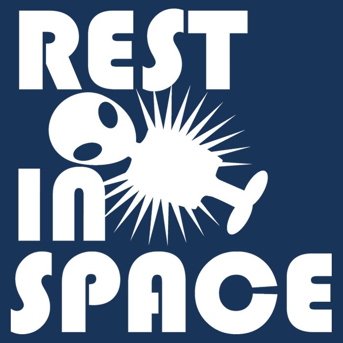 Rest In Space Flat Bill Trucker Hat