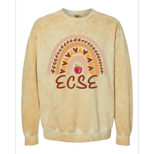 Rainbow Ecse Team Back To School Appreciation Fall Colorblast Crewneck Sweatshirt