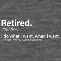 Retired Definition Sustainable Beanie