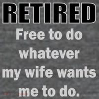 Retired Free To Do Whatever My Wife Wants Wool Snapback Cap