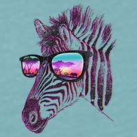Retro 80s Zebra Shade Sueded Cloud Jersey T-Shirt