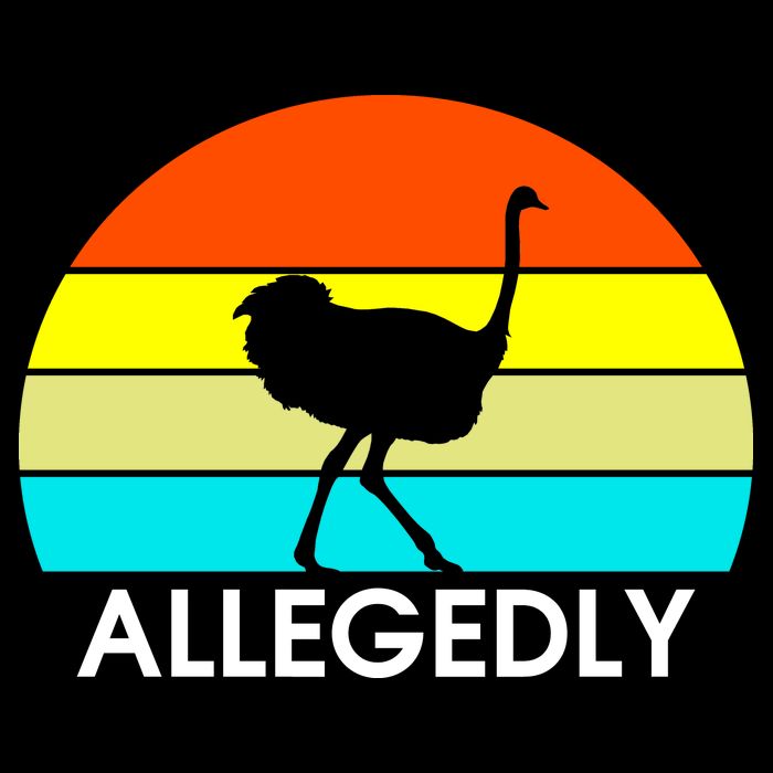Retro Allegedly Ostrich Vintage Sweatshirt