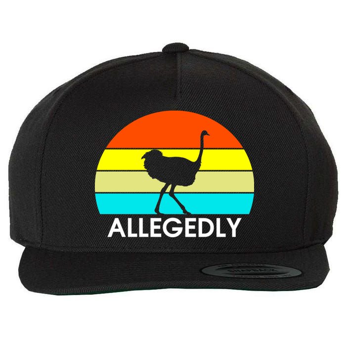 Retro Allegedly Ostrich Vintage Wool Snapback Cap