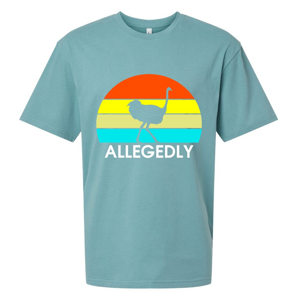 Retro Allegedly Ostrich Vintage Sueded Cloud Jersey T-Shirt