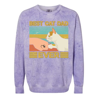 Retro Best Cat Dad Ever Colorblast Crewneck Sweatshirt