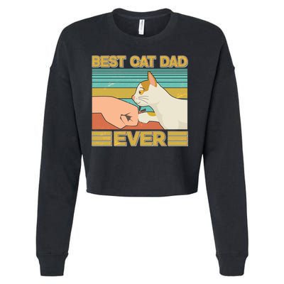 Retro Best Cat Dad Ever Cropped Pullover Crew