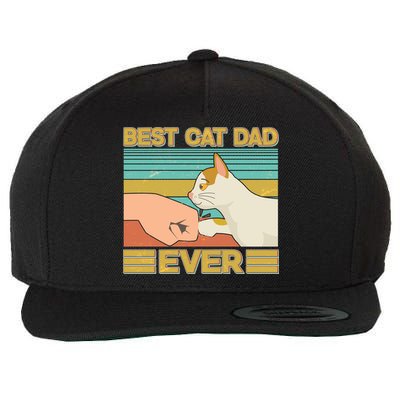 Retro Best Cat Dad Ever Wool Snapback Cap