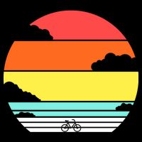 Retro Bicycle Sunset Wool Snapback Cap