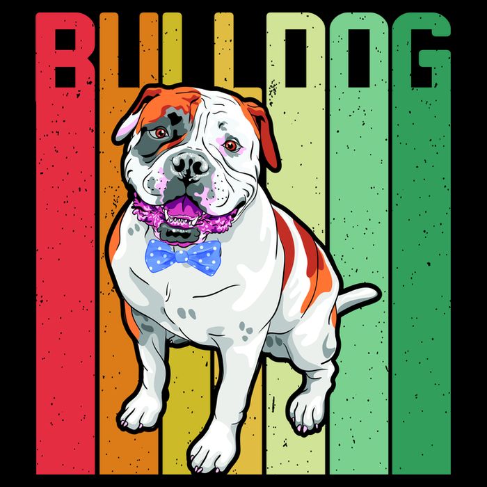 Retro Bulldog Premium T-Shirt