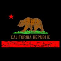 Retro California Republic Flag Poster