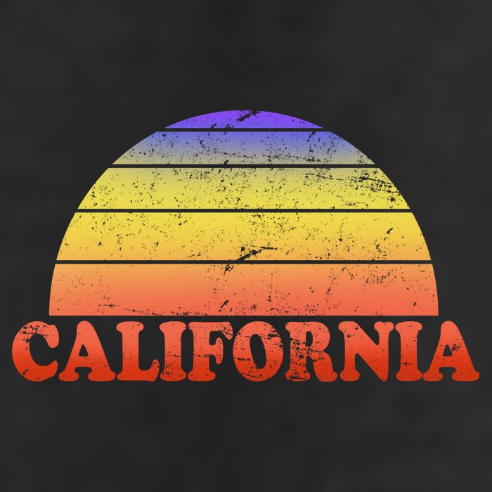 Retro California Sun Adult Drive Performance Visor