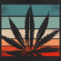 Retro Cannabis 7 Panel Mesh Trucker Snapback Hat