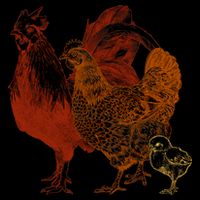 Retro Chickens 16 in Basic Backpack