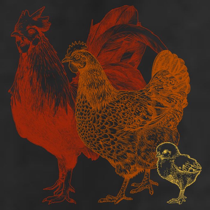 Retro Chickens Golf Towel