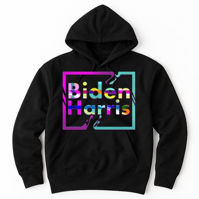 Retro Colors Biden Harris Hoodie