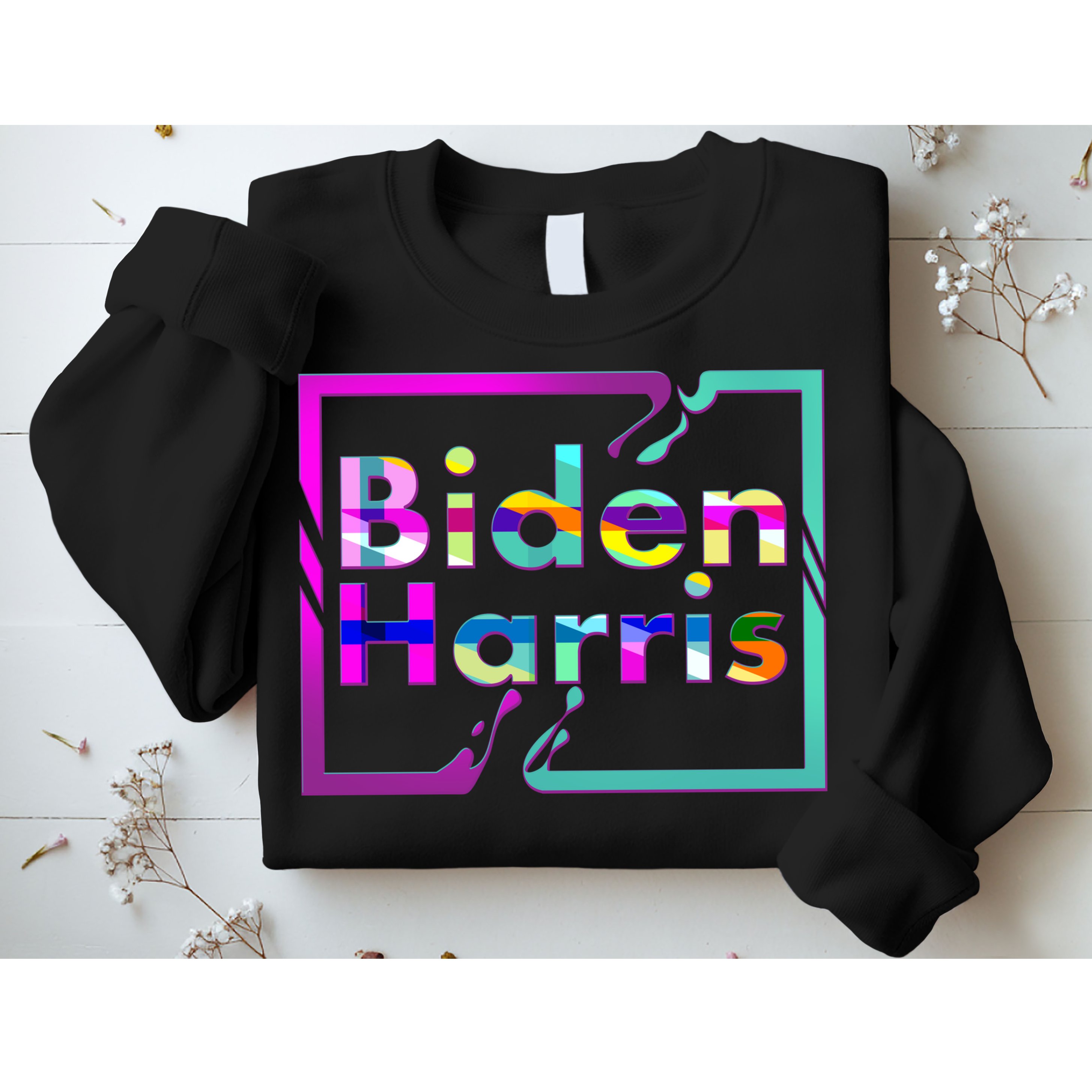 Retro Colors Biden Harris Sweatshirt