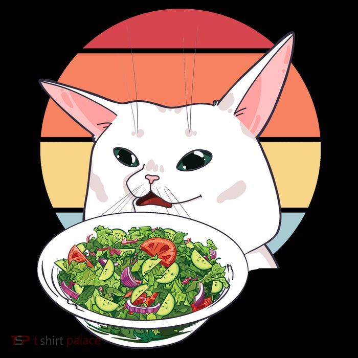 Retro Confused Cat At Dinner Table Meme Hoodie