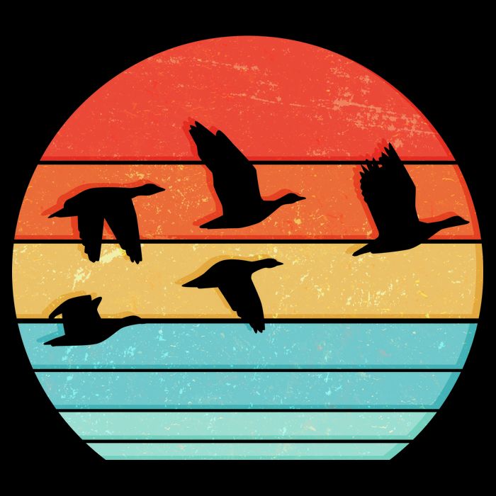 Retro Duck Hunting Sunset Poster