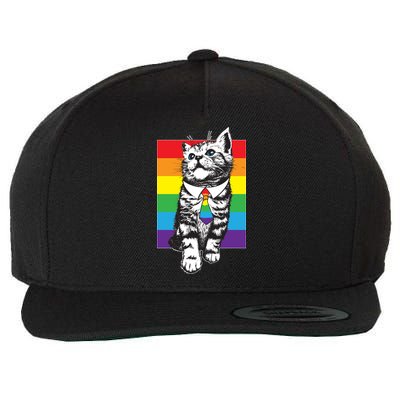 Retro Gay Pride Ally Support Kitten Wool Snapback Cap
