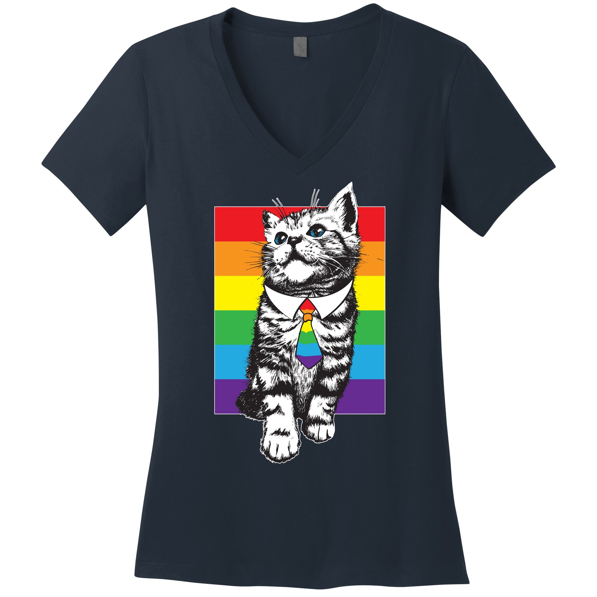 Retro Gay Pride Ally Support Kitten Women's V-Neck T-Shirt