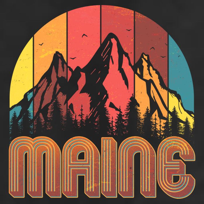 Retro Maine Adult Drive Performance Visor