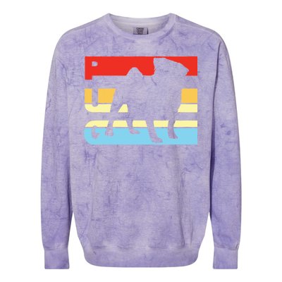 Retro Pug Logo Colorblast Crewneck Sweatshirt