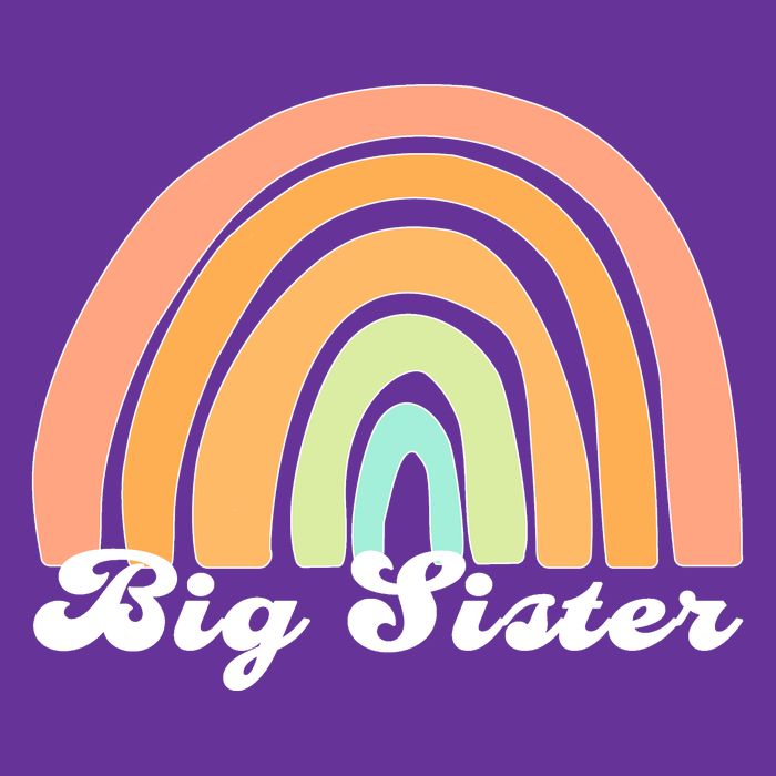 Retro Rainbow Big Sister Sibling Reveal Announcement T-Shirt