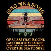 Retro Say Me A Song Dragonfly Sunset Flat Bill Trucker Hat