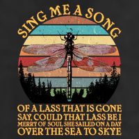 Retro Say Me A Song Dragonfly Sunset Trucker Hat