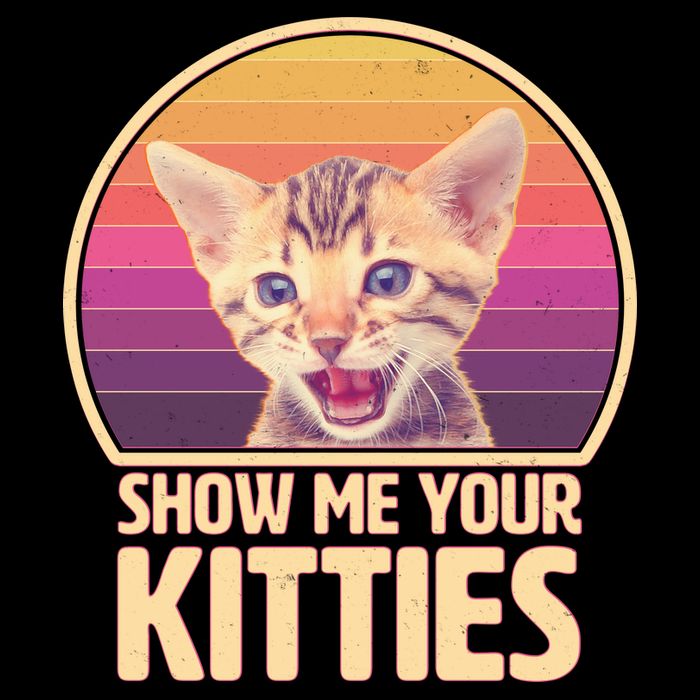 Retro Show Me Your Kitties Funny Meme Mug